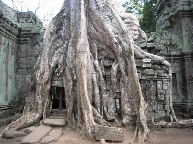 Angkor wat - Cambodge